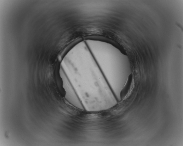 X0000098040320200804251045