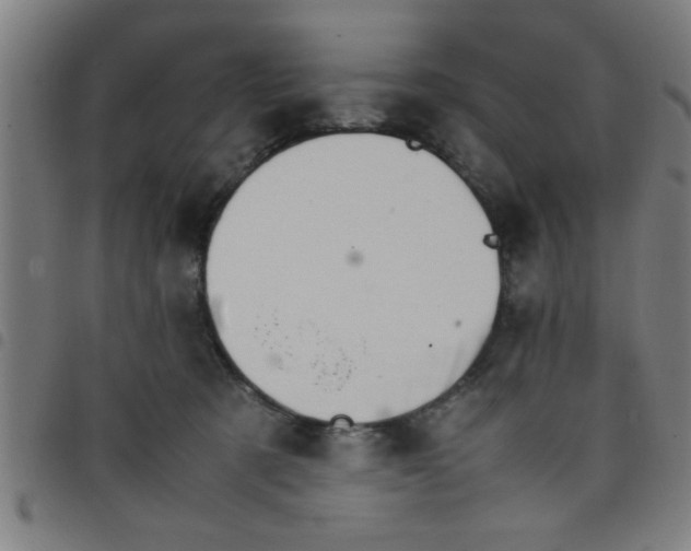 X0000098040321200804251045