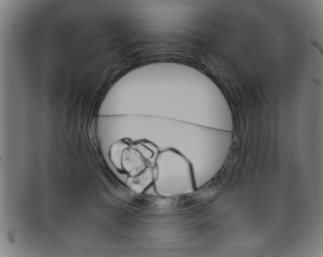 X0000098040323200804251045