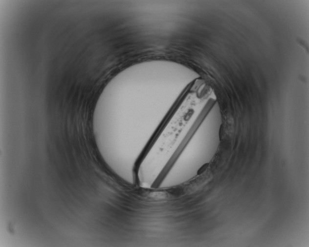 X0000098040324200804251045