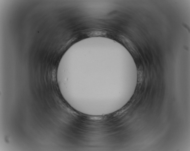 X0000098040326200804251045