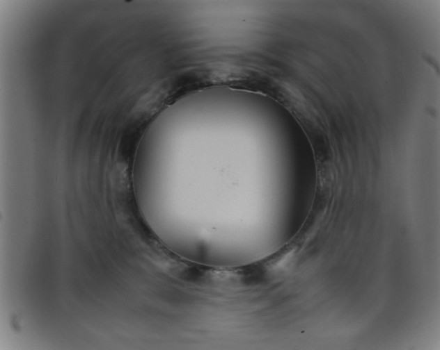 X0000098040327200804251045