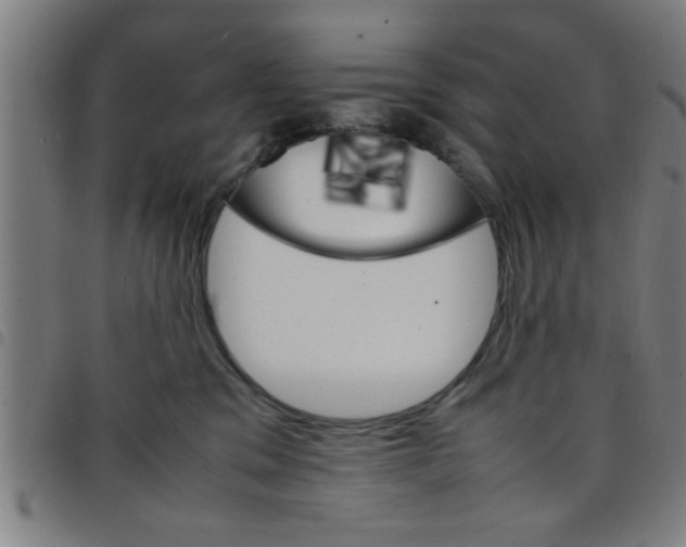 X0000098040329200804251045