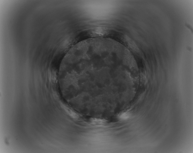 X0000098040331200804251045