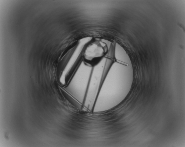 X0000098040332200804251045