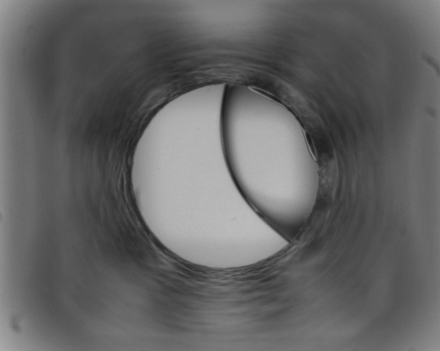 X0000098040333200804251045