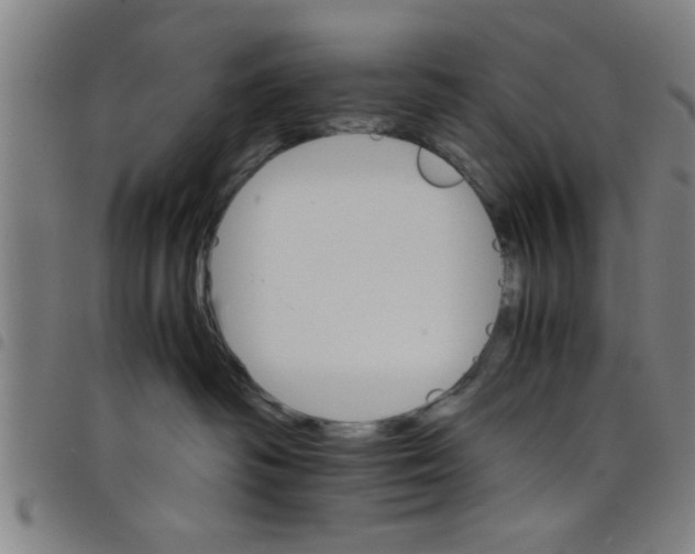 X0000098040334200804251045