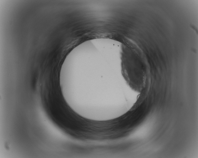 X0000098040335200804251045