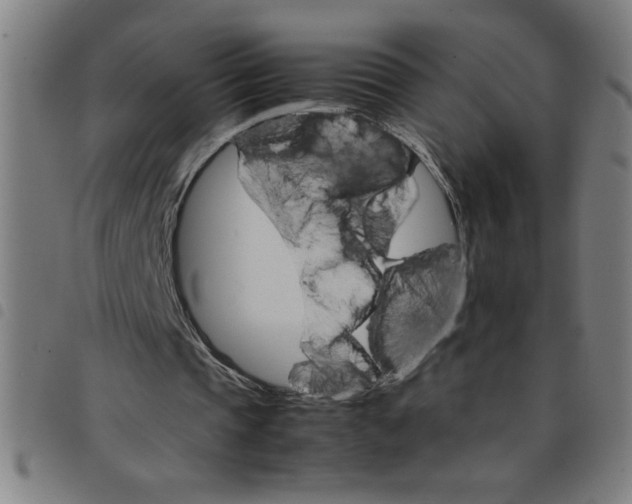 X0000098040337200804251044