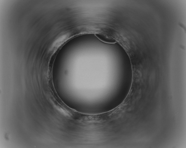 X0000098040338200804251044