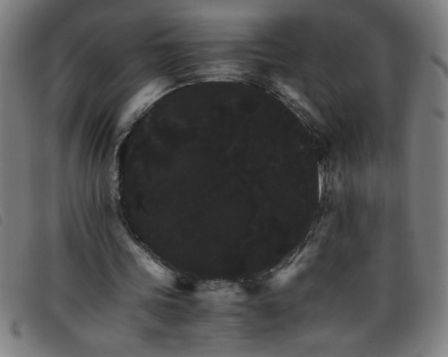 X0000098040339200804251045