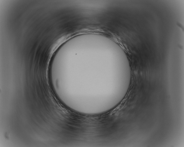 X0000098040340200804251045