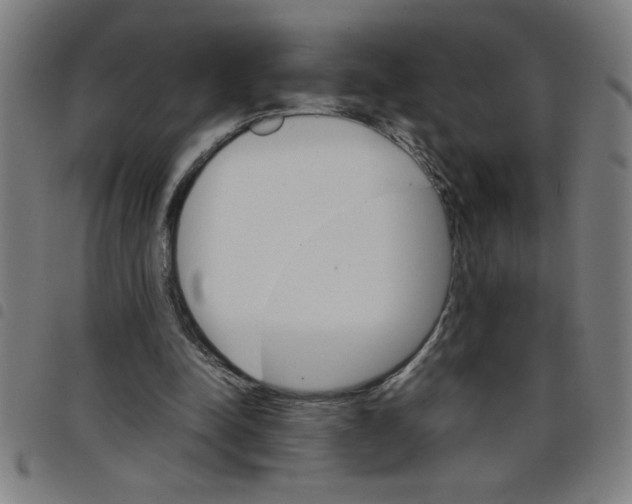 X0000098040342200804251045