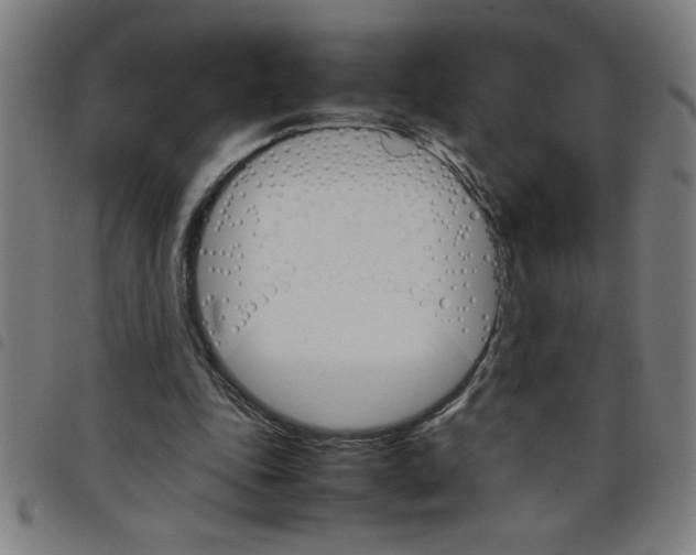 X0000098040343200804251045