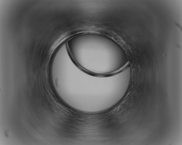 X0000098040344200804251045