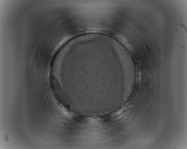 X0000098040346200804251045