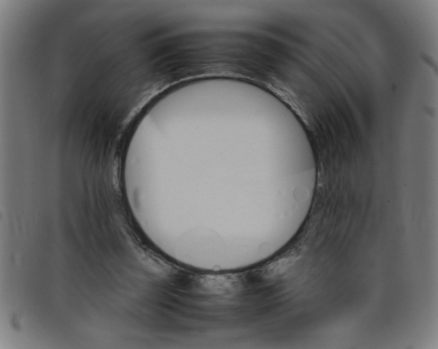 X0000098040347200804251045