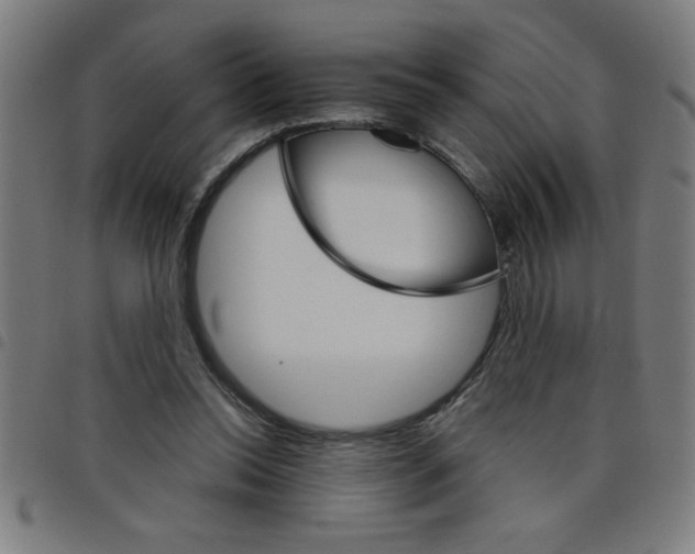 X0000098040350200804251045