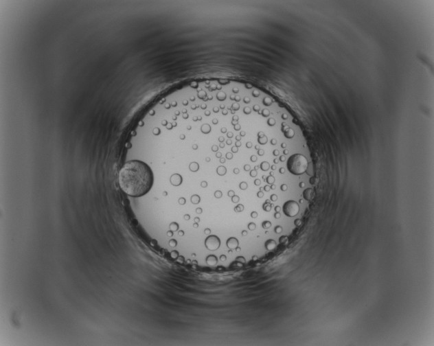 X0000098040351200804251045