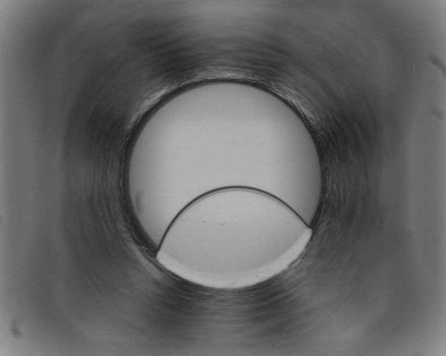 X0000098040352200804251045