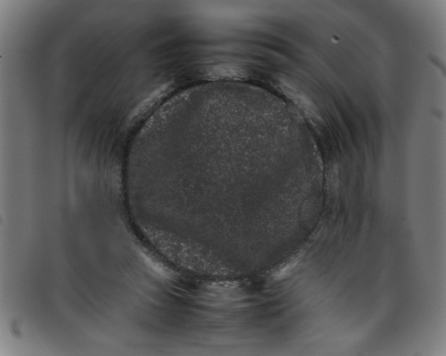 X0000098040353200804251045