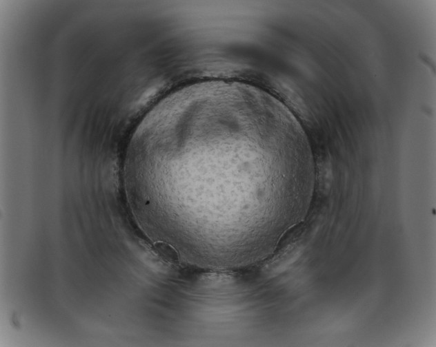 X0000098040354200804251045