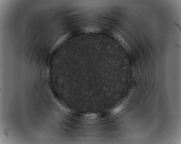 X0000098040357200804251045