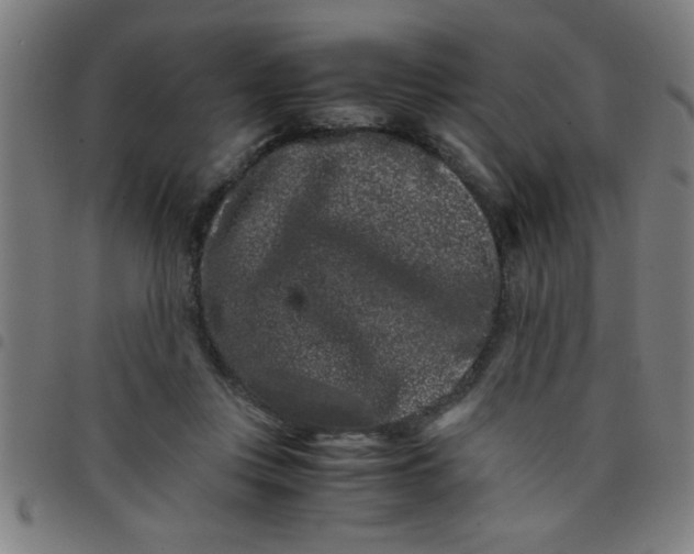 X0000098040359200804251045