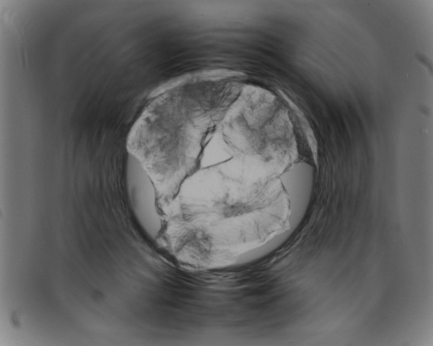 X0000098040361200804251045