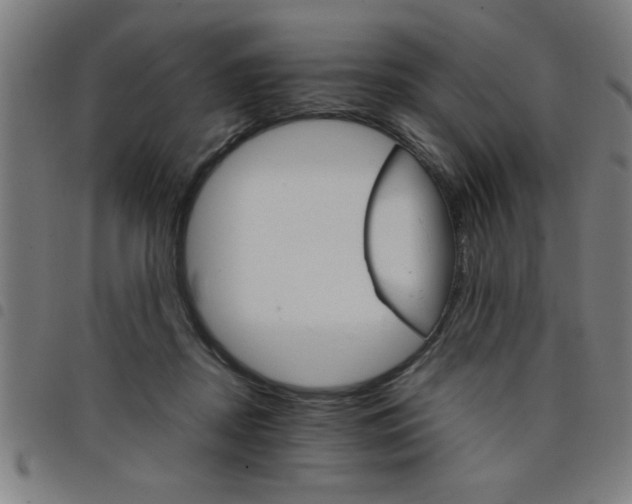 X0000098040362200804251045