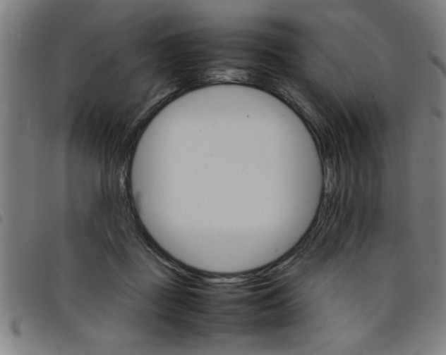 X0000098040363200804251045