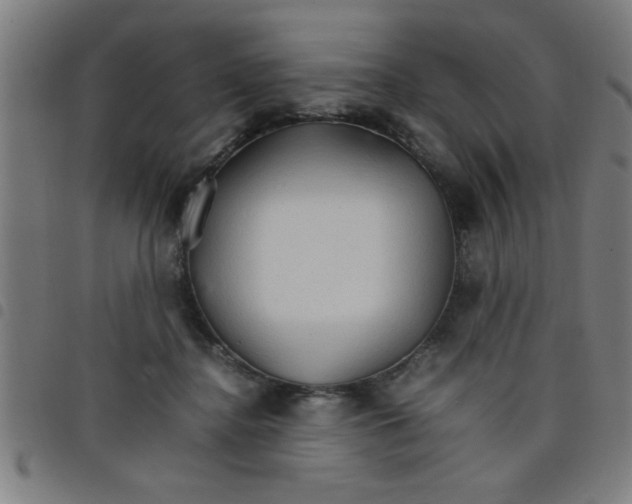 X0000098040364200804251045