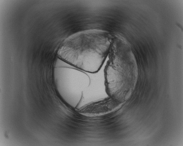 X0000098040365200804251045