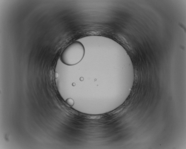 X0000098040366200804251045