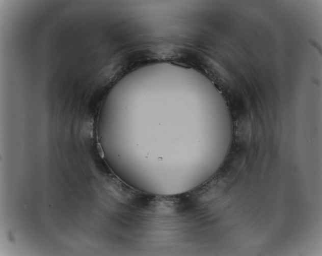 X0000098040368200804251045