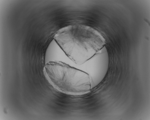 X0000098040369200804251045