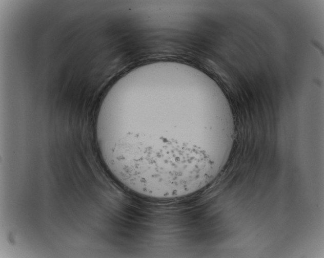 X0000098040370200804251045