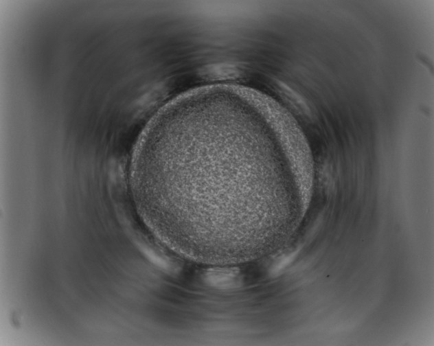 X0000098040373200804251045