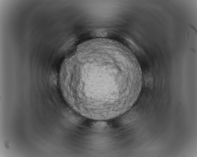 X0000098040374200804251045