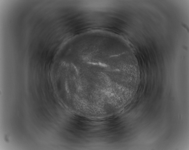 X0000098040375200804251045