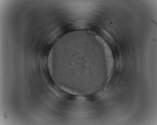 X0000098040376200804251045