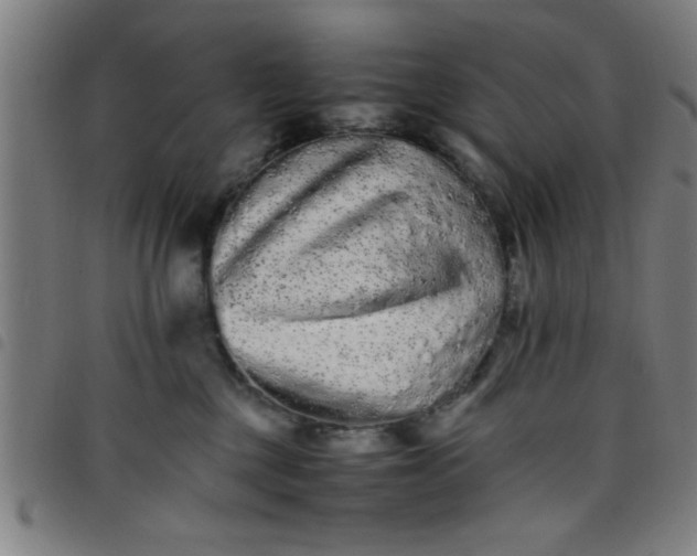 X0000098040377200804251045