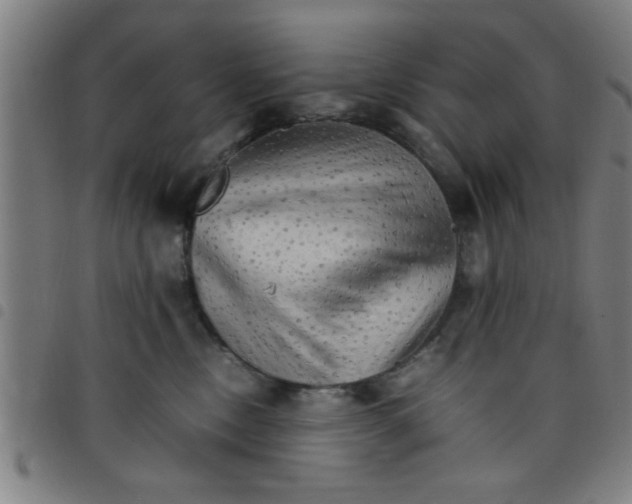 X0000098040378200804251045