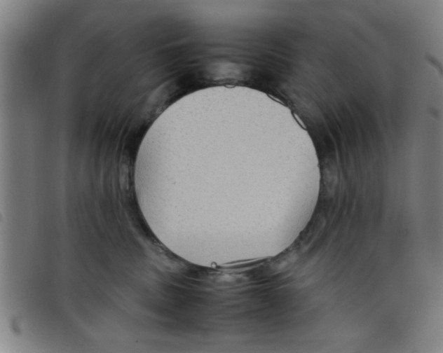 X0000098040379200804251045