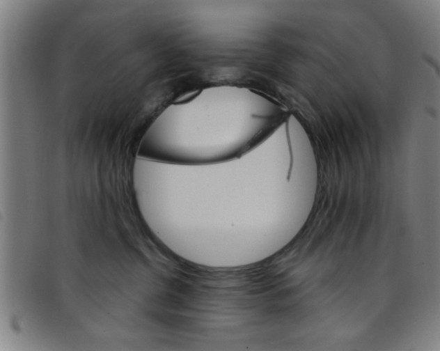 X0000098040380200804251045