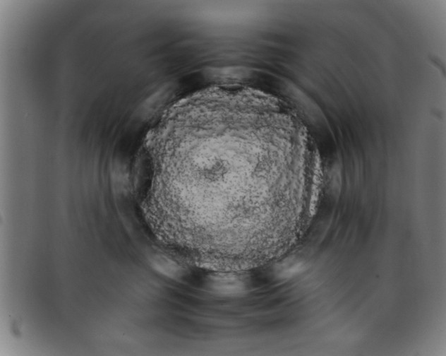 X0000098040381200804251045