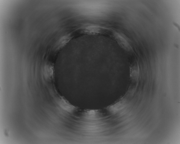 X0000098040382200804251045