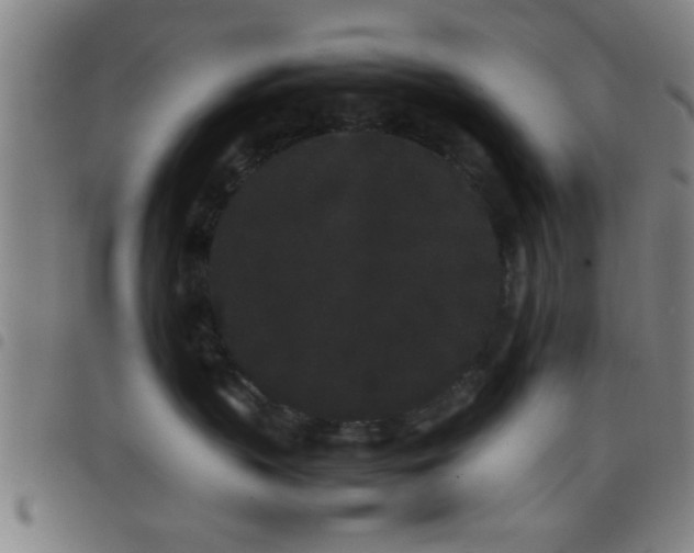 X0000098040383200804251045