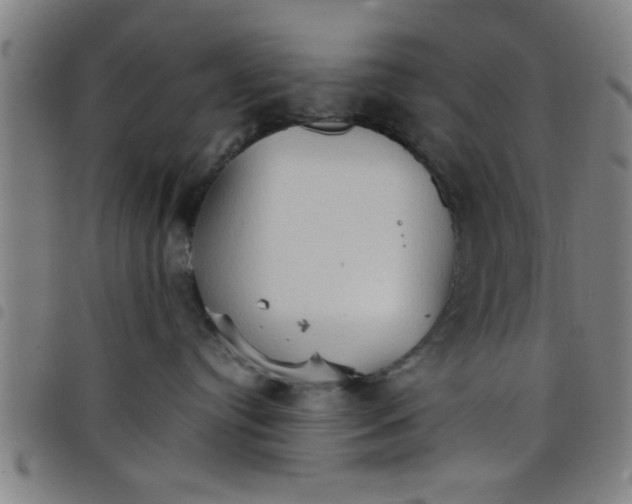 X0000098040384200804251045