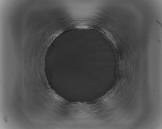 X0000098040385200804251044